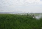 کشاورزان خوزستانی از روش‌های آبیاری‌ نوین استفاده کنند