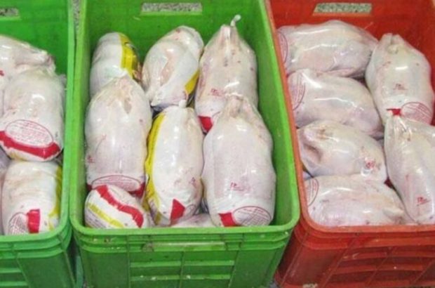 فرماندار اهواز:۸۰ تن مرغ منجمد در بازار اهواز توزیع شد