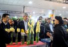چهارمین نمایشگاه گل و گیاه همزمان با نمایشگاه بزرگ صنایع دستی در اهواز افتتاح شد