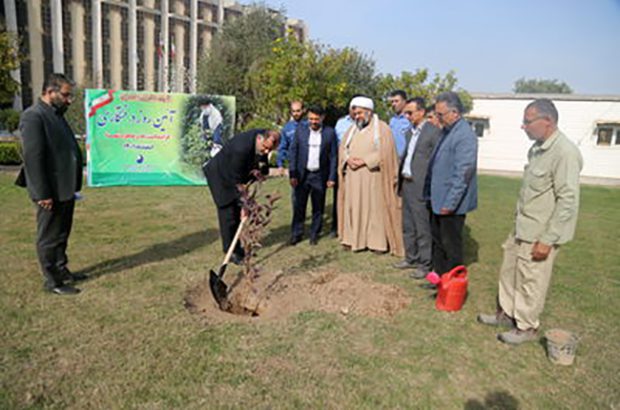 آیین گرامیداشت روز درختکاری در سازمان آب و برق خوزستان برگزار شد