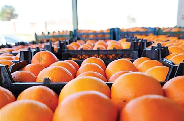اتحادیه تعاون روستایی خوزستان مباشر تامین و توزیع میوه شب عید/توزیع میوه با مناسبترین قیمت