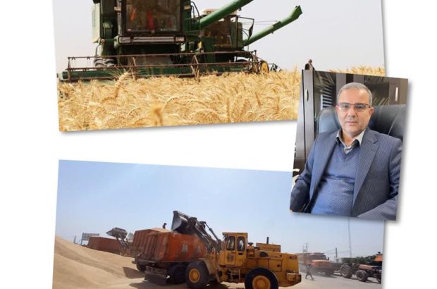 خرید بیش از ۸۸۹ هزار تن گندم توسط تعاون روستایی خوزستان