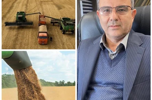 خرید بیش از ۱ میلیون و ۳۲ هزار تن گندم توسط تعاون روستایی خوزستان