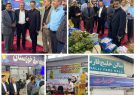 حضور مدیر تعاون روستایی خوزستان در افتتاحیه نمایشگاه هفته دولت